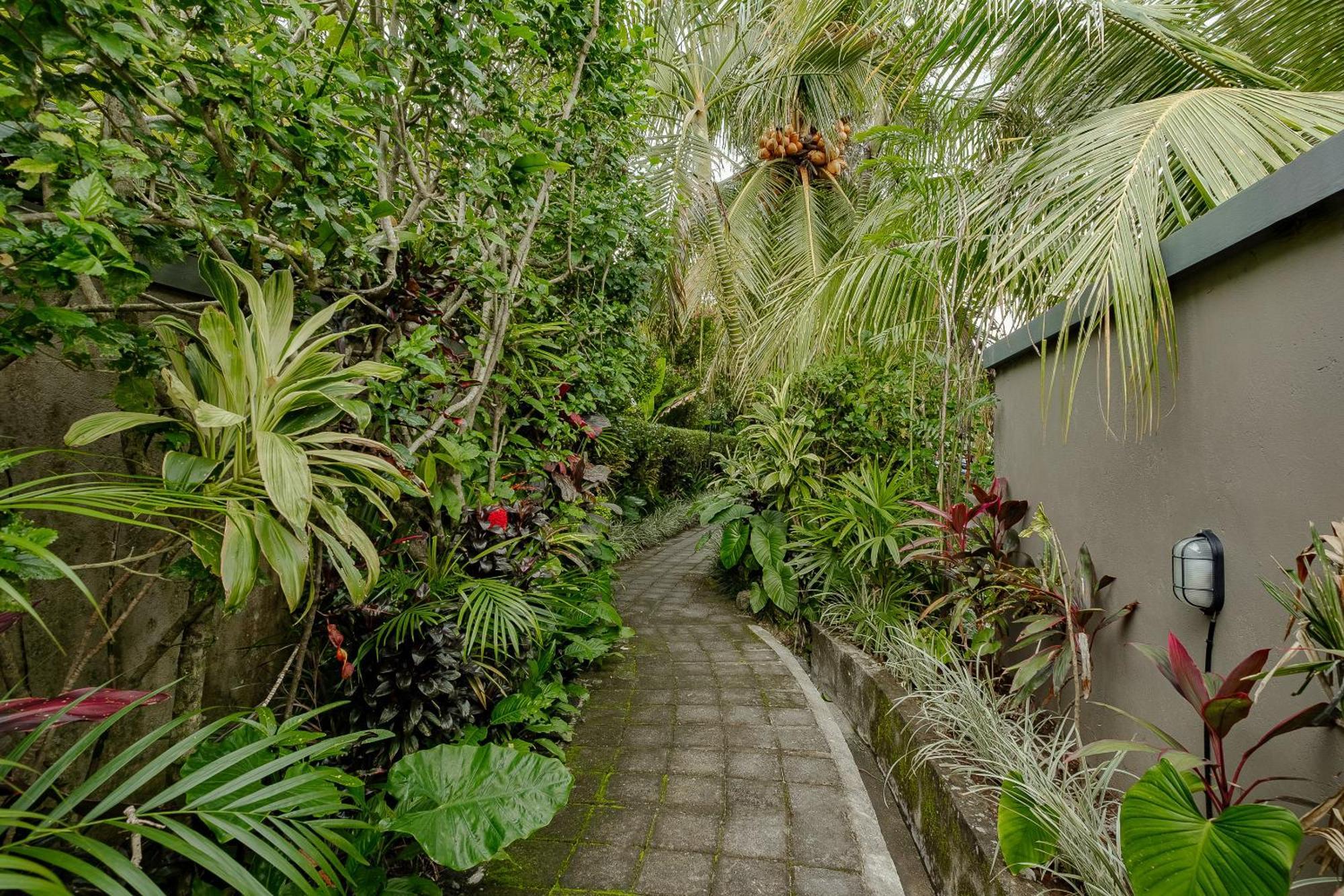 Puri Sedana Ubud Villa Zewnętrze zdjęcie