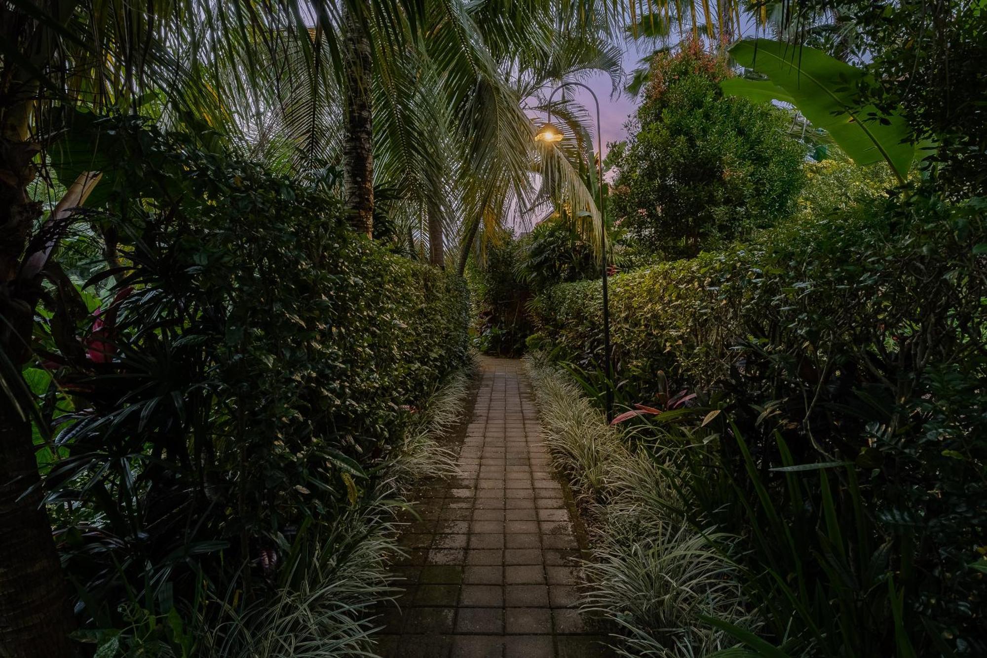 Puri Sedana Ubud Villa Zewnętrze zdjęcie